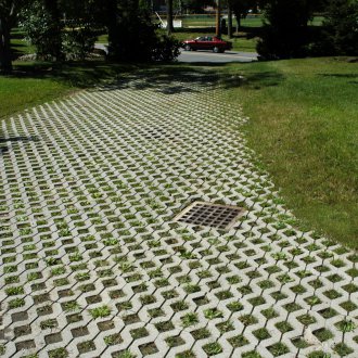 Γραμμή χόρτου