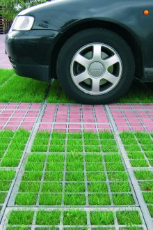 Χώρος στάθμευσης γκαζόν