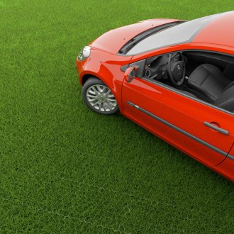 Καθαρό χλοοτάπητα