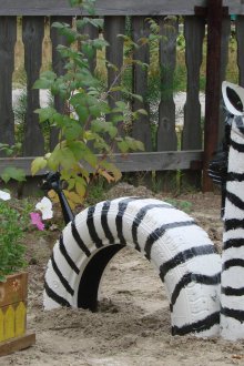 Ζέβρα ελαστικών κήπου