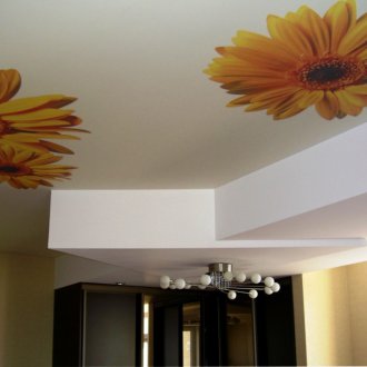 Ματ τυπωμένη οροφή