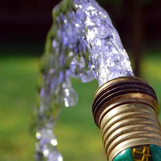 Αβινσίνια καλά στην άμμο