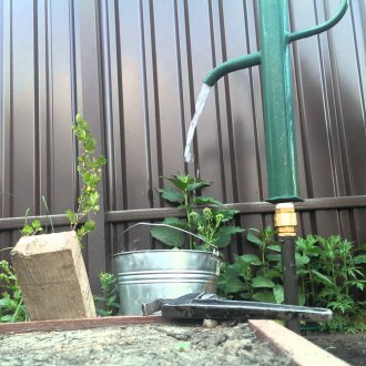 Αβινσίνια καλά στον κήπο