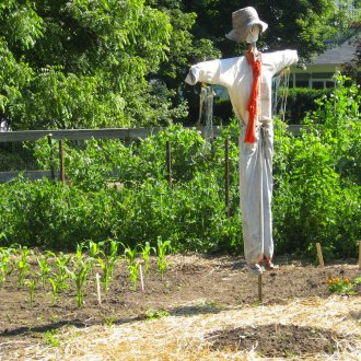 Σκιάχτρο στο πλαίσιο