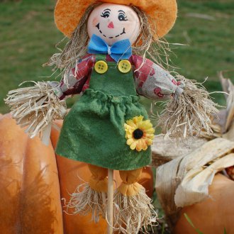 Μικρό σκιάχτρο