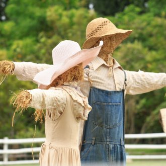 Σκιάχτρο στον κήπο