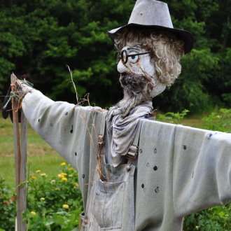 Σκιάχτρο σε ένα πουκάμισο