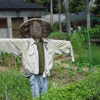Σκιάχτρο σε ένα καπέλο