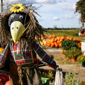 Σκιάχτρο φτιαγμένο από άχυρο