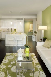 Ταπετσαρία ελιάς