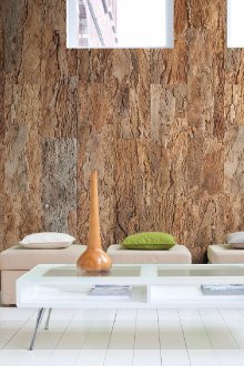 Ταπετσαρία κάτω από το φλοιό ενός δέντρου