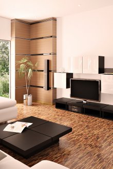 Γυαλιστερό θυρίδες για το καθιστικό