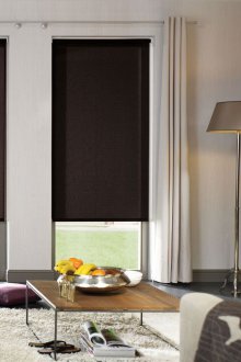 Τζίντζερ wenge