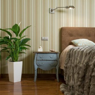 Spathiphyllum στο υπνοδωμάτιο