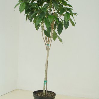 Εγκατάσταση μπαλκόνι