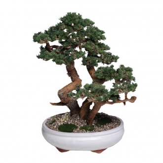 Ταπετσαρία Floral Duplex