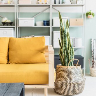 Ξύλινο κίτρινο καναπέ