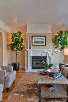 Καλλωπιστικά μαξιλάρια