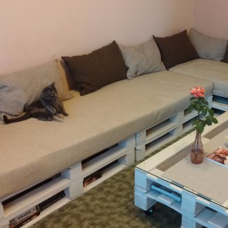 Καναπές παλέτας στο σαλόνι