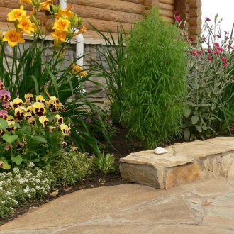 Kohiya στο σπίτι