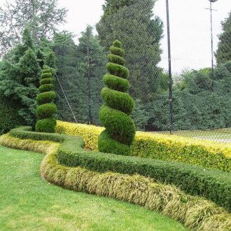 Εικόνα από κοχίγια