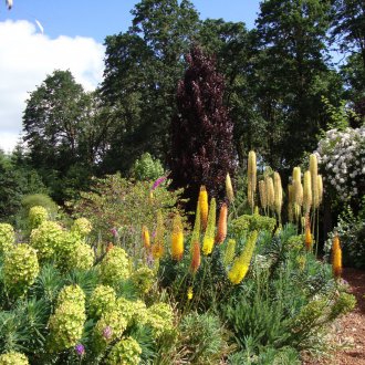 Πότισμα του Ερεμού