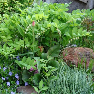 Αγοράστηκε στη χώρα