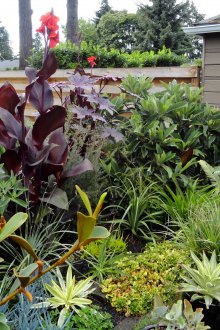 Καστορέλαιο