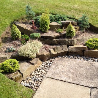 Κωνοφόρα πετρώματα