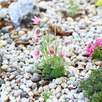 Μικρά πετρώματα