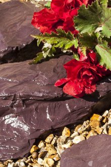 Πολυετείς Rockery