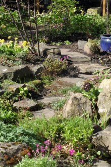 Επίπεδη πετρώματα