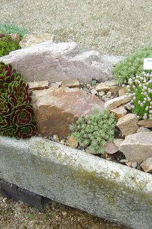 Υπαίθρια πετρώματα