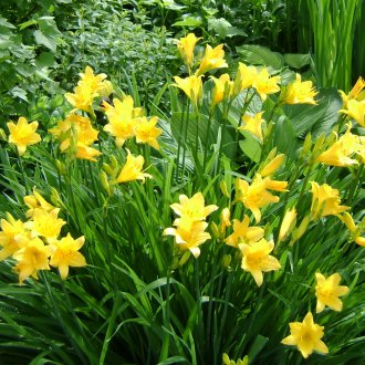 Εβδομαδιαία για καλοκαιρινό εξοχικό σπίτι