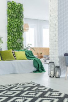 Καθαρό-πράσινο καθιστικό