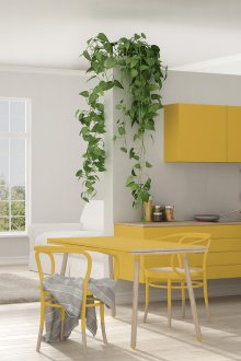 Γκρίζα κίτρινη κουζίνα