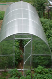 Πολύ ανθρακικό σαλιγκάρι θερμοκηπίου