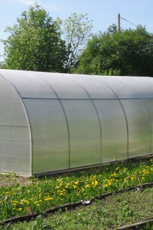 Εγκατάσταση πολυανθρακικού θερμοκηπίου