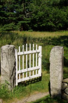 Πύλη για το δόσιμο