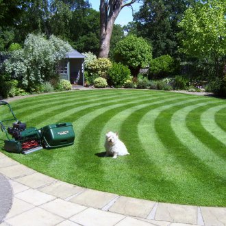 Verticutter για τον κήπο