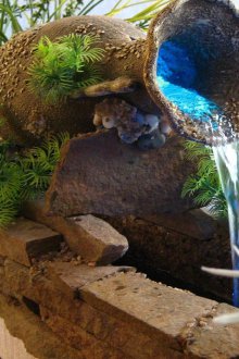 Υποβρύχια Κρήνη