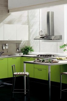 Ο συνδυασμός μαύρου και ανοιχτό πράσινου λουλουδιού στην κουζίνα