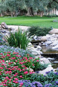 Καταρράκτης στο σχεδιασμό του τοπίου