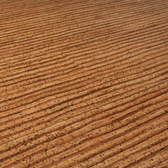 Cork laminate κάτω από το μπαμπού