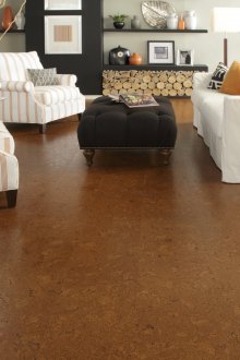 Φύλλο φελλού τοπικού στυλ