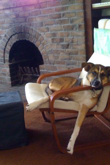 Καρέκλα Poeng με μαξιλάρι