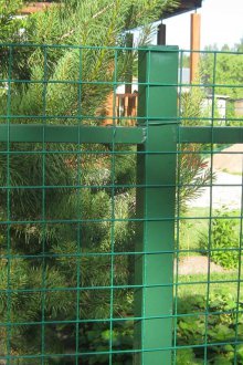 Ζωγραφική δίχτυα