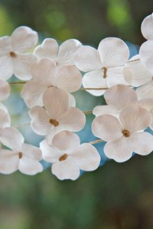 Γαρδένια χαρτιού με τη μορφή λουλουδιών