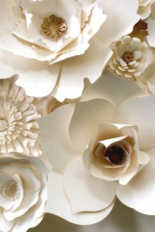 Λευκά λουλούδια χαρτιού