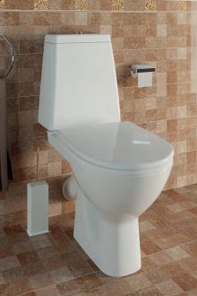 Bowl με λοξό φαγητό